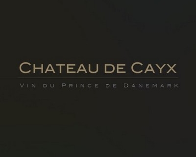 chateau-cayx-danemark