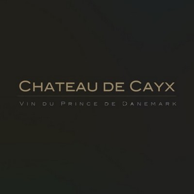 Chateau Cayx